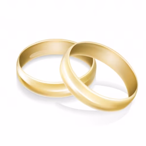 18K Vergulde Classic Duo Ringen